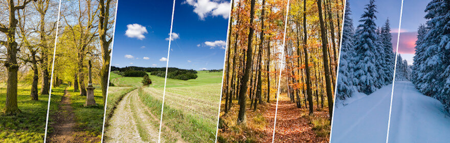 Zeckensaison: Darstellung der Zeckenaktivität im Jahresverlauf in vier Naturbildern