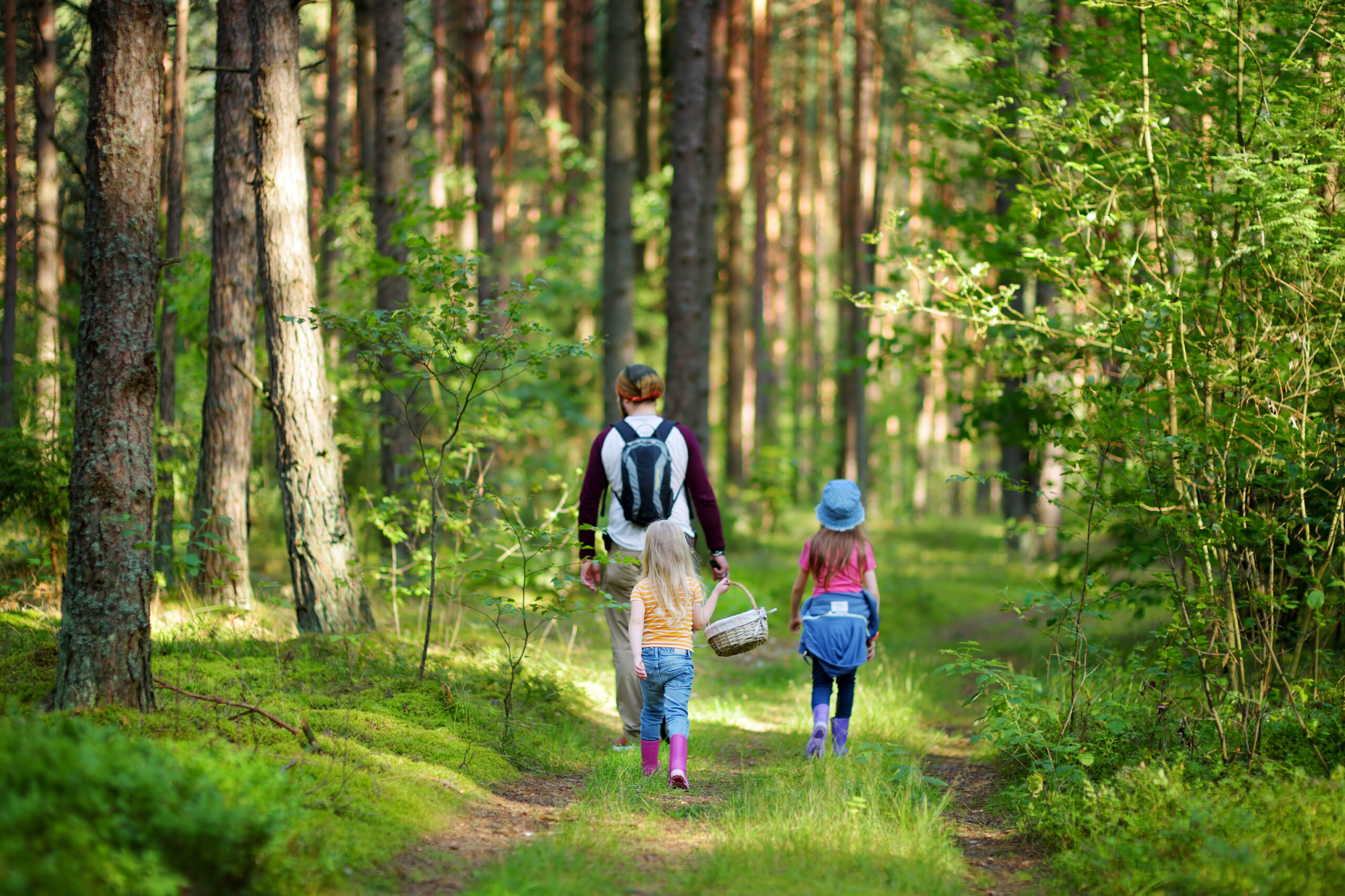 Vater mit zwei Kindern im Wald: Um sich vor Zecken zu schützen, empfiehlt sich ANTI-BRUMM® Zecken Stopp.